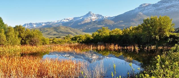 Ladismith